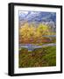 Norway, Boverkinnhalsen, Jotunheimen National Park, Autumn Fjellbirken Against Snowy Mountains-K. Schlierbach-Framed Photographic Print