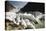 Norway, Briksdal Glacier-Dave Bartruff-Stretched Canvas