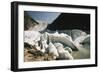 Norway, Briksdal Glacier-Dave Bartruff-Framed Photographic Print