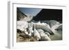 Norway, Briksdal Glacier-Dave Bartruff-Framed Photographic Print