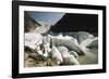 Norway, Briksdal Glacier-Dave Bartruff-Framed Photographic Print