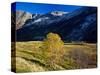 Norway, Dovre, Fall on Grimsdalselva River-K. Schlierbach-Stretched Canvas