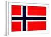 Norway Flag Design with Wood Patterning - Flags of the World Series-Philippe Hugonnard-Framed Art Print