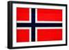 Norway Flag Design with Wood Patterning - Flags of the World Series-Philippe Hugonnard-Framed Premium Giclee Print