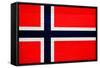 Norway Flag Design with Wood Patterning - Flags of the World Series-Philippe Hugonnard-Framed Stretched Canvas