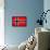 Norway Flag Design with Wood Patterning - Flags of the World Series-Philippe Hugonnard-Framed Stretched Canvas displayed on a wall