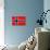 Norway Flag Design with Wood Patterning - Flags of the World Series-Philippe Hugonnard-Stretched Canvas displayed on a wall