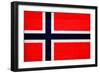 Norway Flag Design with Wood Patterning - Flags of the World Series-Philippe Hugonnard-Framed Art Print