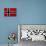 Norway Flag-igor stevanovic-Art Print displayed on a wall