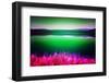 Norway Green-Heidi Bannon-Framed Photo