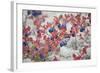 Norway, Hedmark, Blueberries-Rainer Mirau-Framed Photographic Print