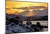 Norway, Lofoten, Vestvagoya, Fjord, Coast Close Ballstad-Bernd Rommelt-Mounted Photographic Print