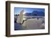 Norway, Lofoten, Vestvagoya, Fjord, Ice-Bernd Rommelt-Framed Photographic Print