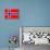 Norway National Flag Poster Print-null-Mounted Poster displayed on a wall