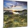 Norway, Nordland, Lofoten, Falkfjorden, the Sun-Rainer Mirau-Mounted Photographic Print