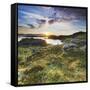 Norway, Nordland, Lofoten, Falkfjorden, the Sun-Rainer Mirau-Framed Stretched Canvas