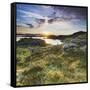 Norway, Nordland, Lofoten, Falkfjorden, the Sun-Rainer Mirau-Framed Stretched Canvas