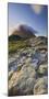 Norway, Nordland, Lofoten, Gimsoya, Hoven, Moss-Rainer Mirau-Mounted Photographic Print