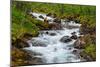 Norway, Nordland, Tysfjord. Woman sitting along Storelva, river that flows from Stetind mountain-Fredrik Norrsell-Mounted Photographic Print