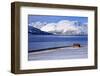 Norway, Nordnorwegen, Province of Troms, Ullsfjord, Iddonjagga-Bernd Rommelt-Framed Photographic Print