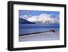 Norway, Nordnorwegen, Province of Troms, Ullsfjord, Iddonjagga-Bernd Rommelt-Framed Photographic Print