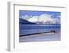 Norway, Nordnorwegen, Province of Troms, Ullsfjord, Iddonjagga-Bernd Rommelt-Framed Photographic Print