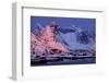 Norway, Nordnorwegen, Pure-Bernd Rommelt-Framed Photographic Print