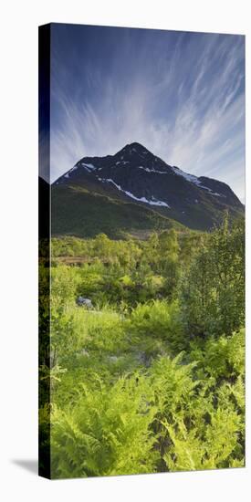 Norway, Northern Country, Hinnoya, Botntindan, Fern-Rainer Mirau-Stretched Canvas