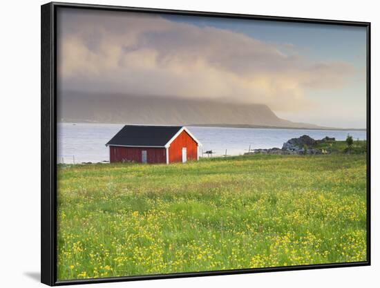 Norway, Northern Country, Lofoten, Gimsoya, Meadow, Hut-Rainer Mirau-Framed Photographic Print