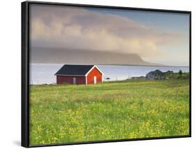 Norway, Northern Country, Lofoten, Gimsoya, Meadow, Hut-Rainer Mirau-Framed Photographic Print