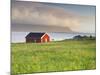 Norway, Northern Country, Lofoten, Gimsoya, Meadow, Hut-Rainer Mirau-Mounted Photographic Print