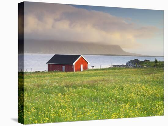 Norway, Northern Country, Lofoten, Gimsoya, Meadow, Hut-Rainer Mirau-Stretched Canvas