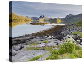 Norway, Northern Country, Lofoten, Moskenesoya, Rossoystraumenen-Rainer Mirau-Stretched Canvas