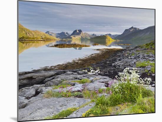 Norway, Northern Country, Lofoten, Moskenesoya, Rossoystraumenen-Rainer Mirau-Mounted Photographic Print