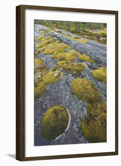 Norway, Northern Country, Moss, Rock-Rainer Mirau-Framed Photographic Print