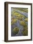 Norway, Northern Country, Moss, Rock-Rainer Mirau-Framed Photographic Print