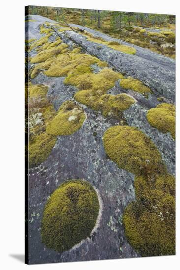 Norway, Northern Country, Moss, Rock-Rainer Mirau-Stretched Canvas