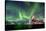 Norway, Northern Lights, Aurora Borealis-Bernd Rommelt-Stretched Canvas