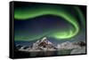 Norway, Northern Lights, Aurora Borealis-Bernd Rommelt-Framed Stretched Canvas