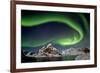 Norway, Northern Lights, Aurora Borealis-Bernd Rommelt-Framed Photographic Print