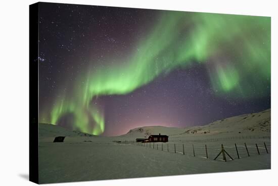 Norway, Northern Lights, Aurora Borealis-Bernd Rommelt-Stretched Canvas