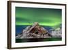 Norway, Northern Lights, Aurora Borealis-Bernd Rommelt-Framed Photographic Print