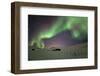 Norway, Northern Lights, Aurora Borealis-Bernd Rommelt-Framed Photographic Print