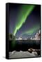 Norway, Northern Lights, Aurora Borealis-Bernd Rommelt-Framed Stretched Canvas