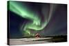 Norway, Northern Lights, Aurora Borealis-Bernd Rommelt-Stretched Canvas