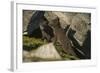 Norway, Spitsbergen. Arctic Fox Kits in Blue Phase Outside their Den-Steve Kazlowski-Framed Photographic Print