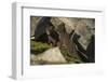 Norway, Spitsbergen. Arctic Fox Kits in Blue Phase Outside their Den-Steve Kazlowski-Framed Photographic Print