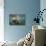 Norway, Spitsbergen. Curious Young Bull Walrus Underwater-Steve Kazlowski-Photographic Print displayed on a wall