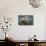 Norway, Spitsbergen. Curious Young Bull Walrus Underwater-Steve Kazlowski-Photographic Print displayed on a wall