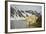 Norway, Spitsbergen, Fuglefjorden. Polar Bear Along a Rocky Shore-Steve Kazlowski-Framed Photographic Print